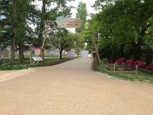 Wide resin bound path at an entrance lined with flower beds